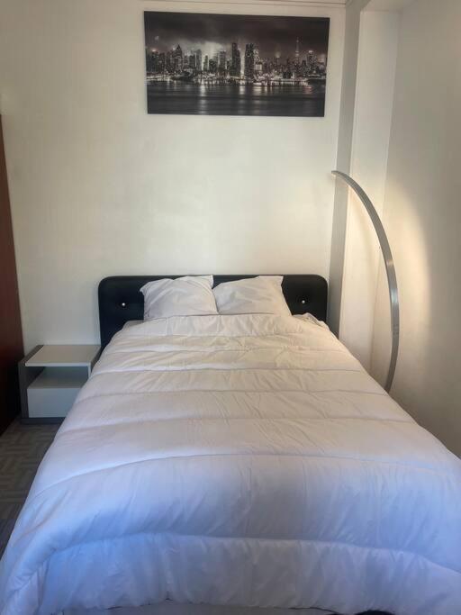 Appartement Croix Rousse 69004 里昂 外观 照片